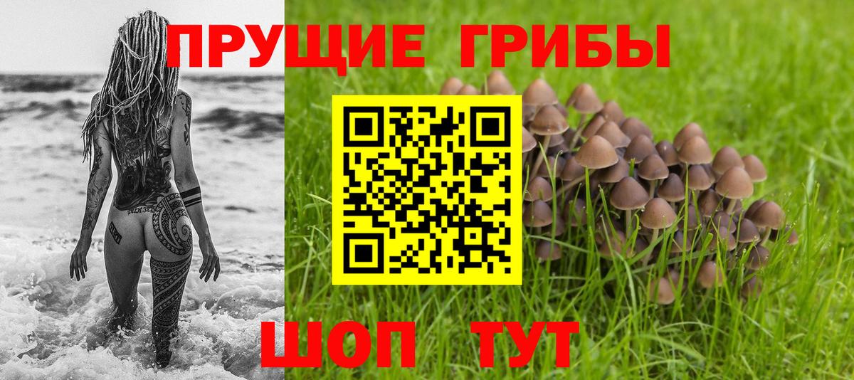 Галлюциногенные грибы мицелий Кунгур