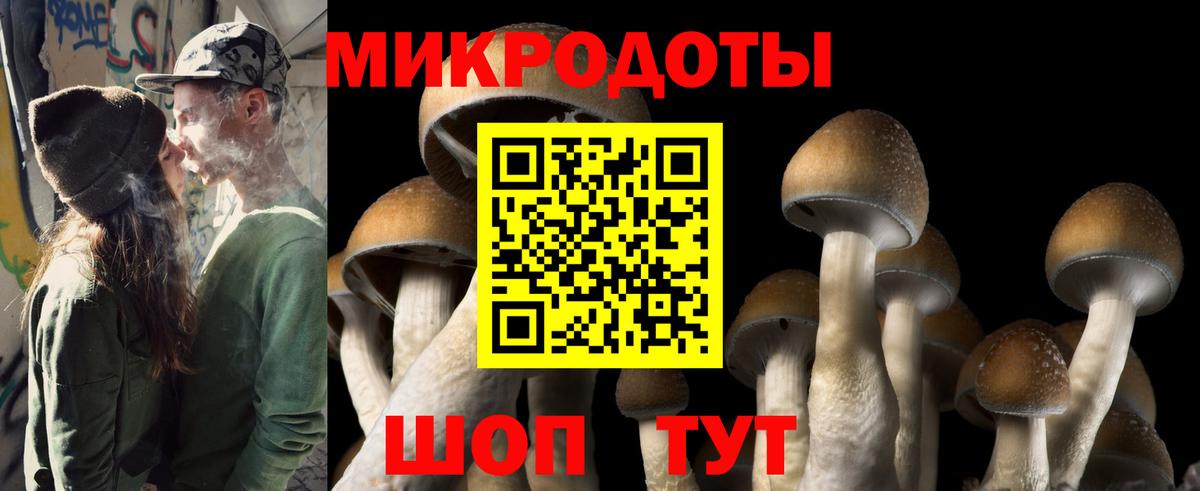 Галлюциногенные грибы мухоморы  Вход с VPN  Псилоцибиновые грибы Cubensis  Кунгур 